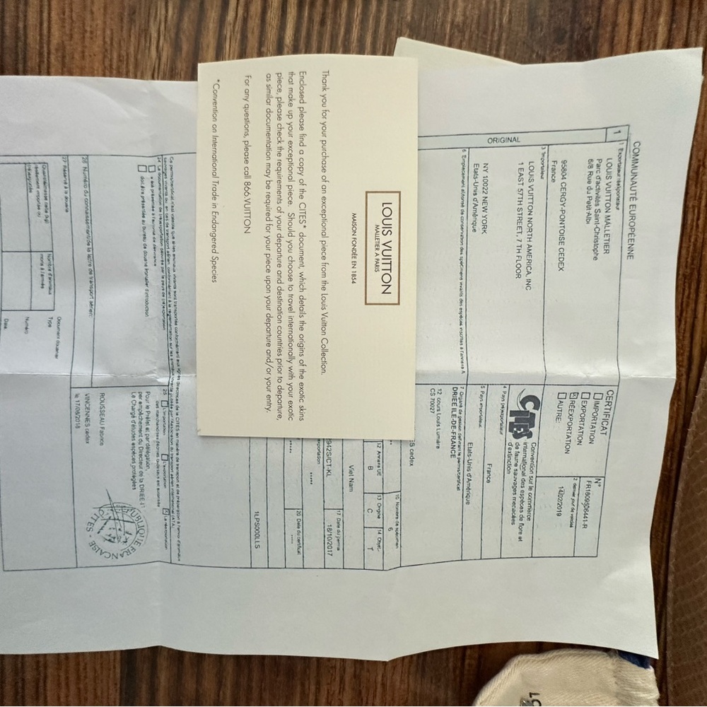 Louis Vuitton Python City Steamer - image 7